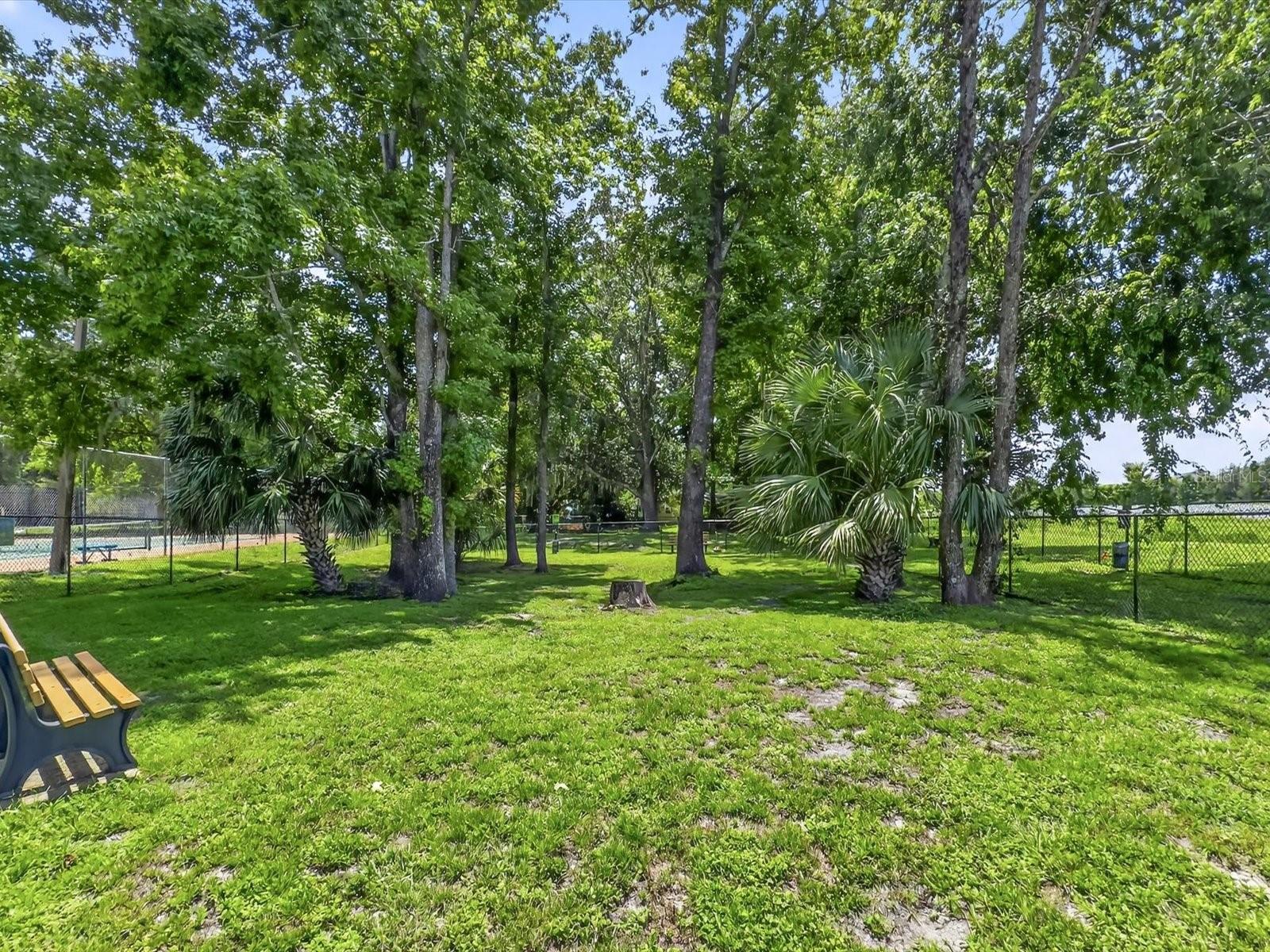 WILDWOOD - Residential
