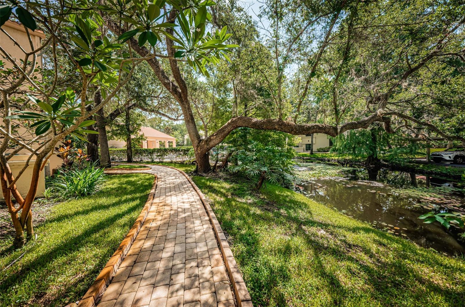 LOS PRADOS CONDO - Residential