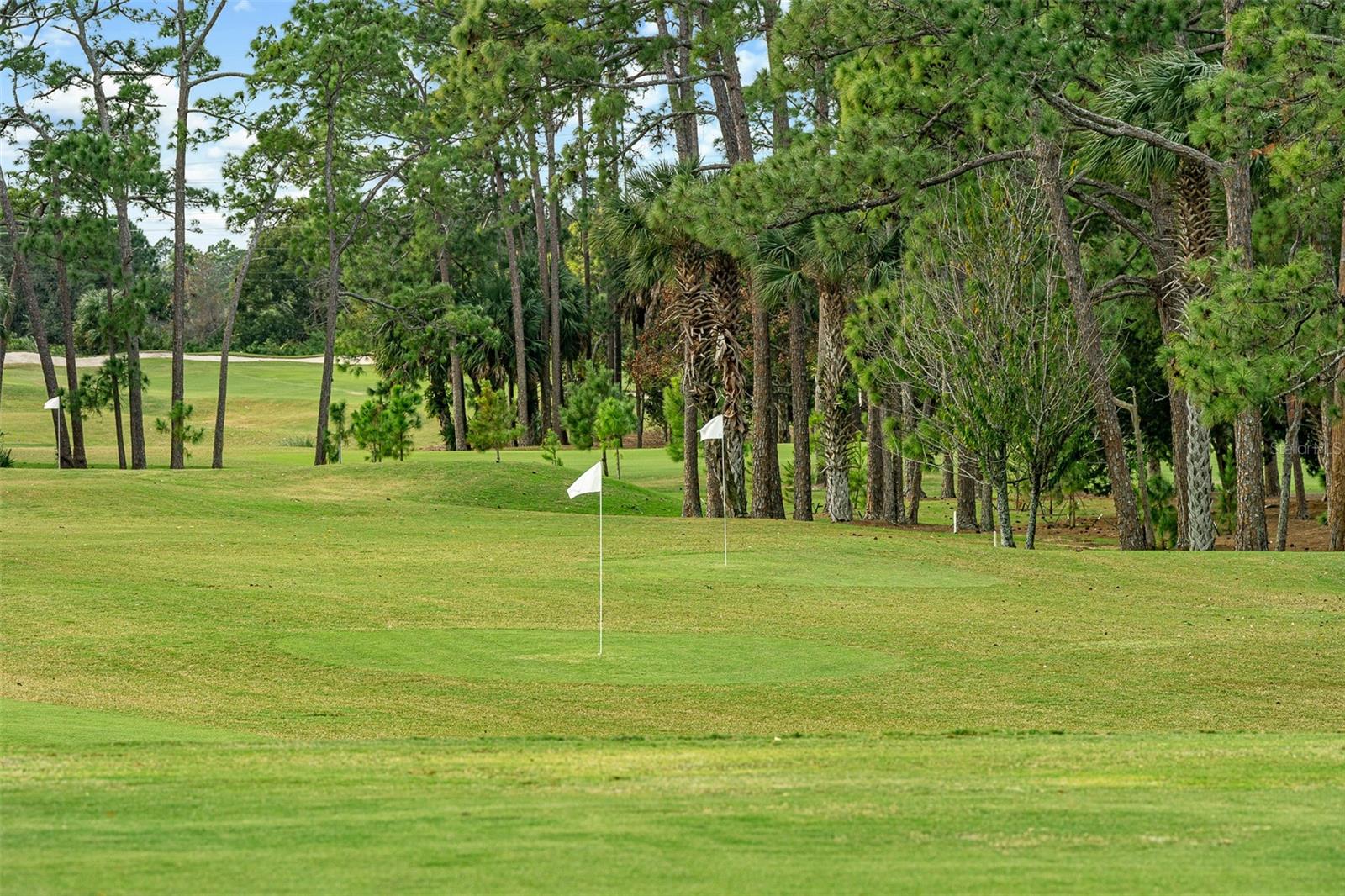 PLANTATION BAY - Residential