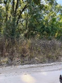 BELLEVIEW HEIGHTS ESTATE - Land