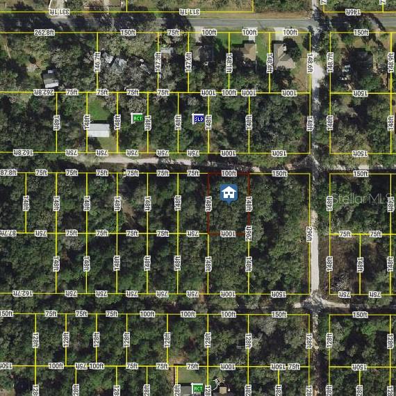PRICE REDUCTION!  Large .34 Acre Undeveloped Lot in desirable Belleview Heights Estates.  This is a north-facing lot with 100 ft frontage.  Wonderful lot to build your single-family home.