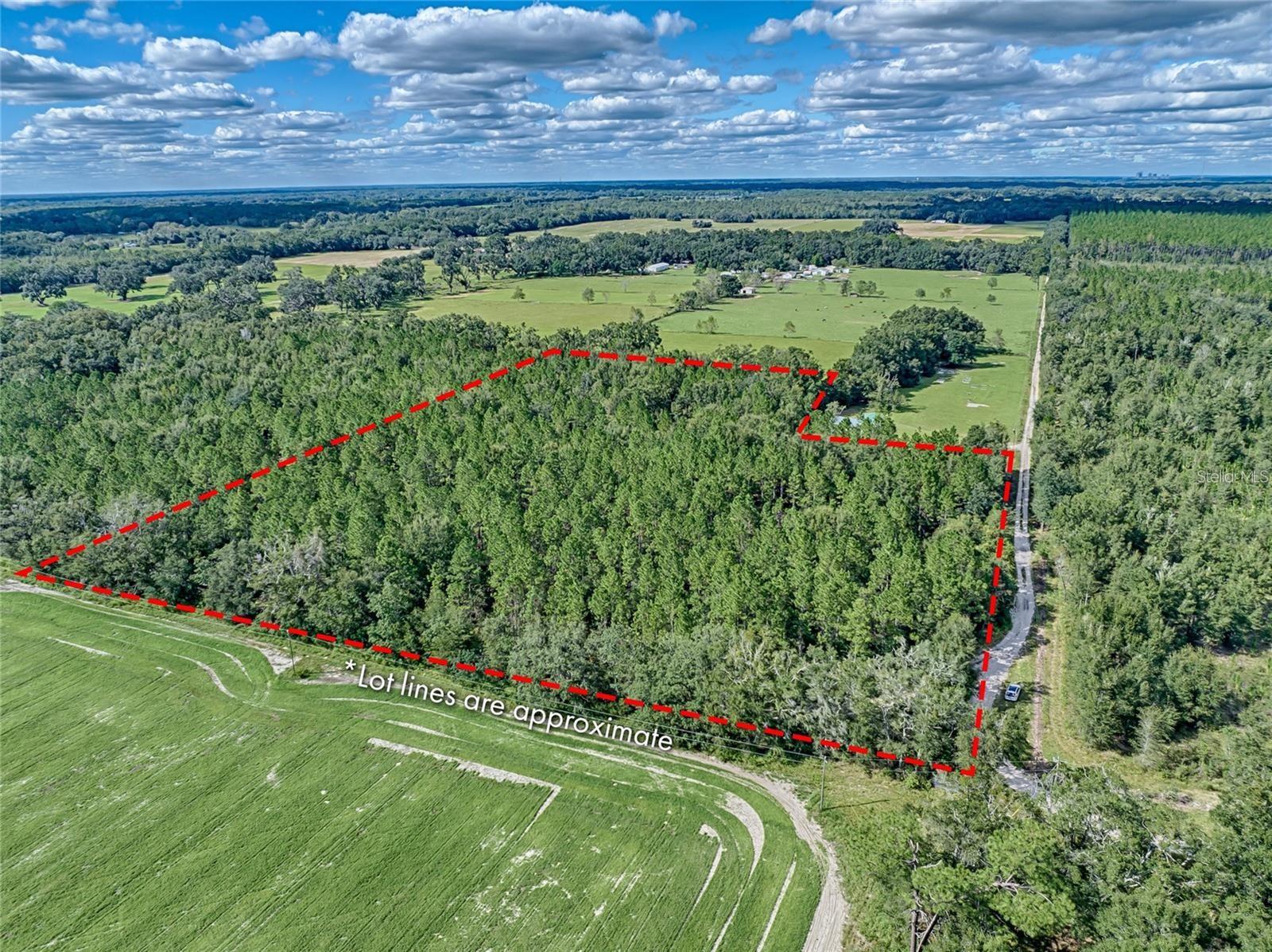 8.9 Acres of Pure Possibility in Newberry, FL! It is said that land is the greatest investment you can make—for yourself, your family, and your future wealth. This private 9-acre property in Newberry is your chance to own a piece of Florida paradise! Nestled among lush wooded surroundings, this serene escape offers the perfect blend of privacy, nature, and freedom. A natural clearing in the center provides an ideal spot to build your dream home or place a mobile home, all while being surrounded by towering trees, abundant wildlife, and the peaceful sounds of nature. Newberry is the perfect place to call home, offering small-town charm with modern conveniences, top-rated schools, and a thriving community. Its quick access to Gainesville, UF, and major highways makes it an excellent location for those who want both tranquility and accessibility. As a growing real estate market, investing in Newberry is a smart financial decision with long-term potential. Plus, outdoor enthusiasts will love the nearby opportunities for fishing, hiking, and equestrian activities. Opportunities like this are rare—secure your future and create the lifestyle you’ve always dreamed of!