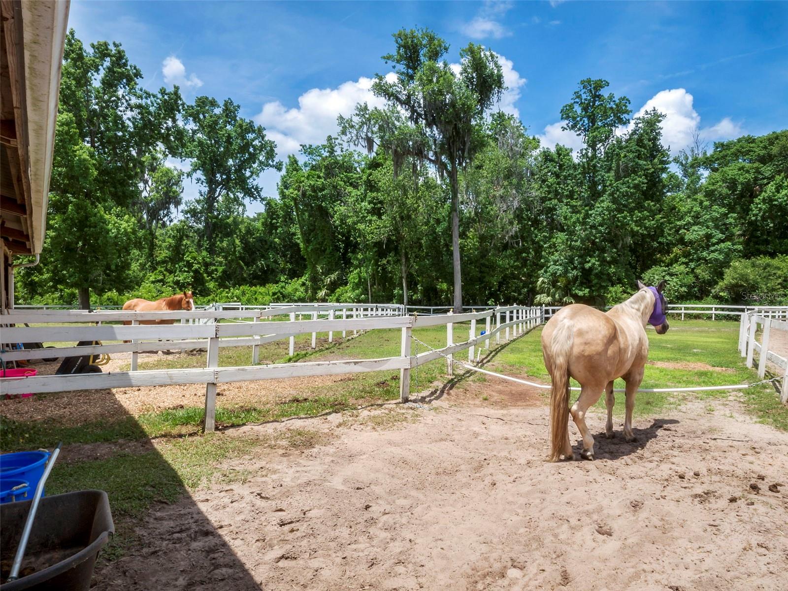 SPRINGS THE DEERWOOD ESTATES - Residential