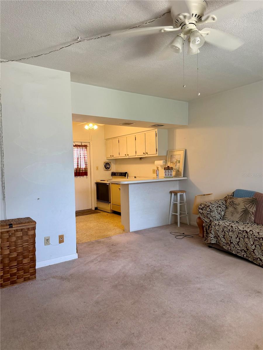 SILVER PINES GOLF VILLAGE CONDO - Residential