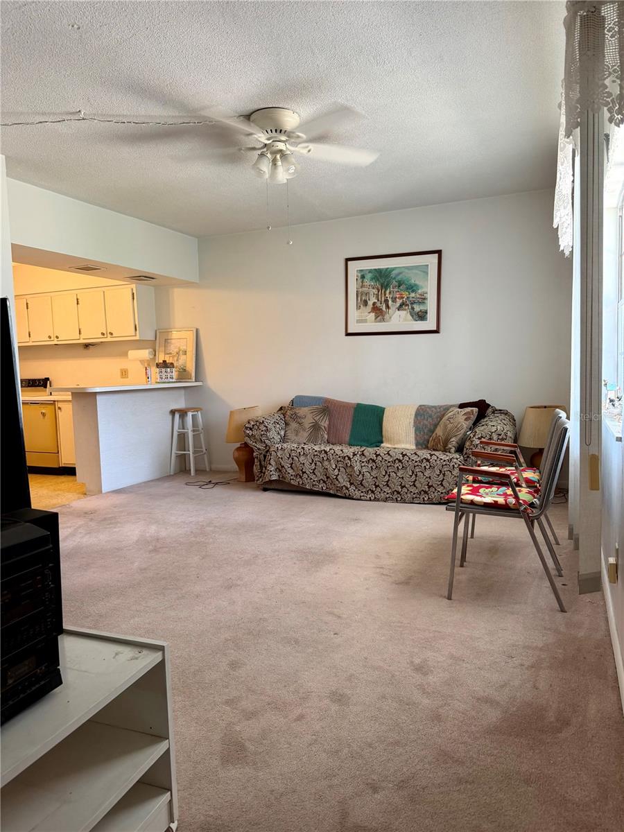 SILVER PINES GOLF VILLAGE CONDO - Residential