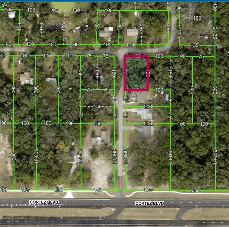 RIDGE MANOR FARMS - Land