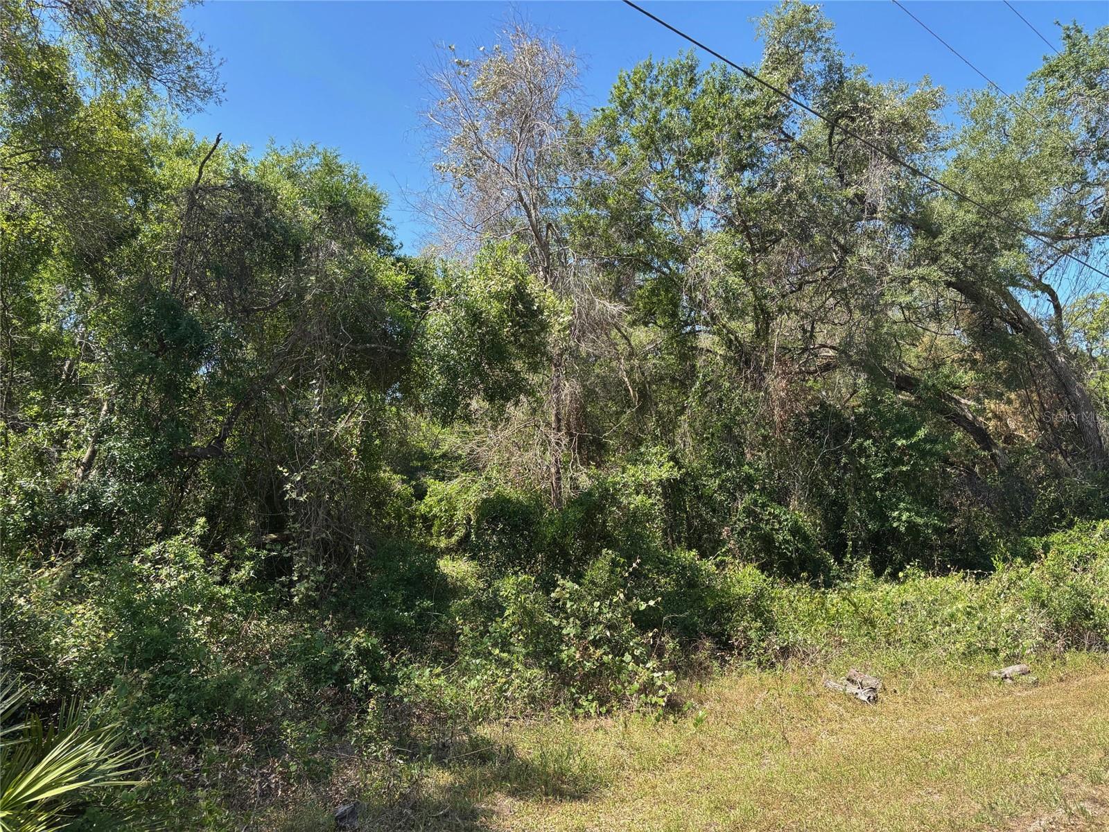RIDGE MANOR FARMS - Land