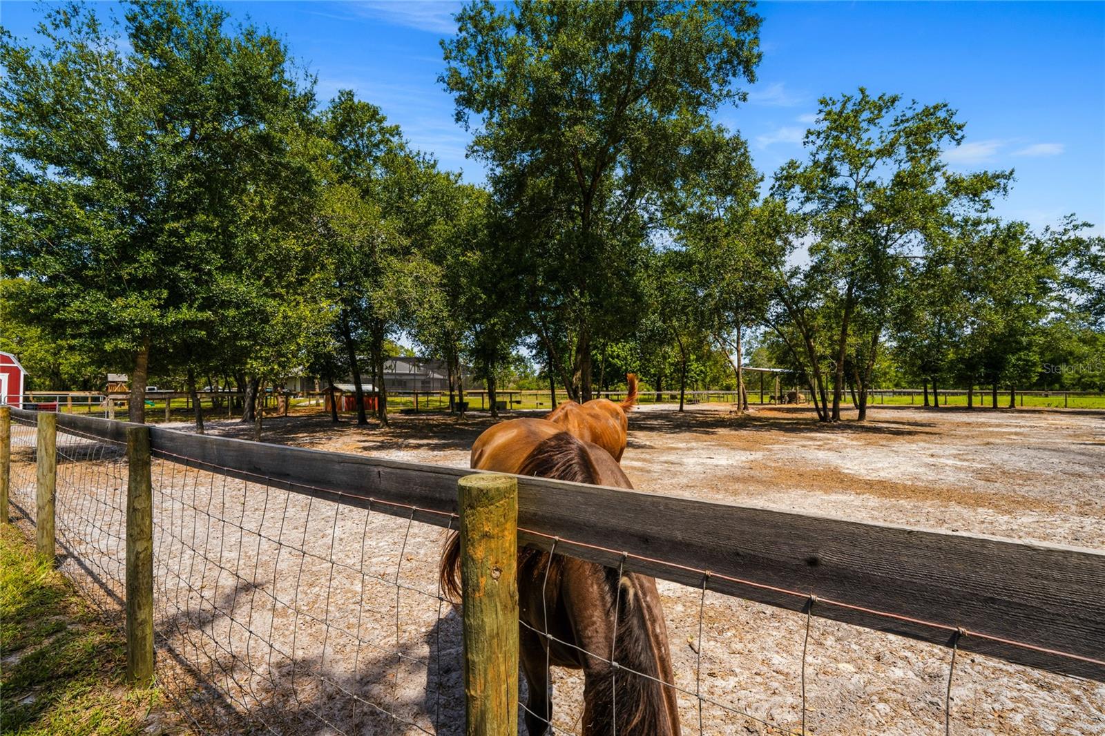 NOT IN SUBDIVISION - Residential