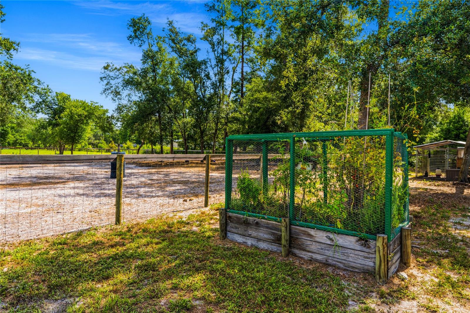 NOT IN SUBDIVISION - Residential