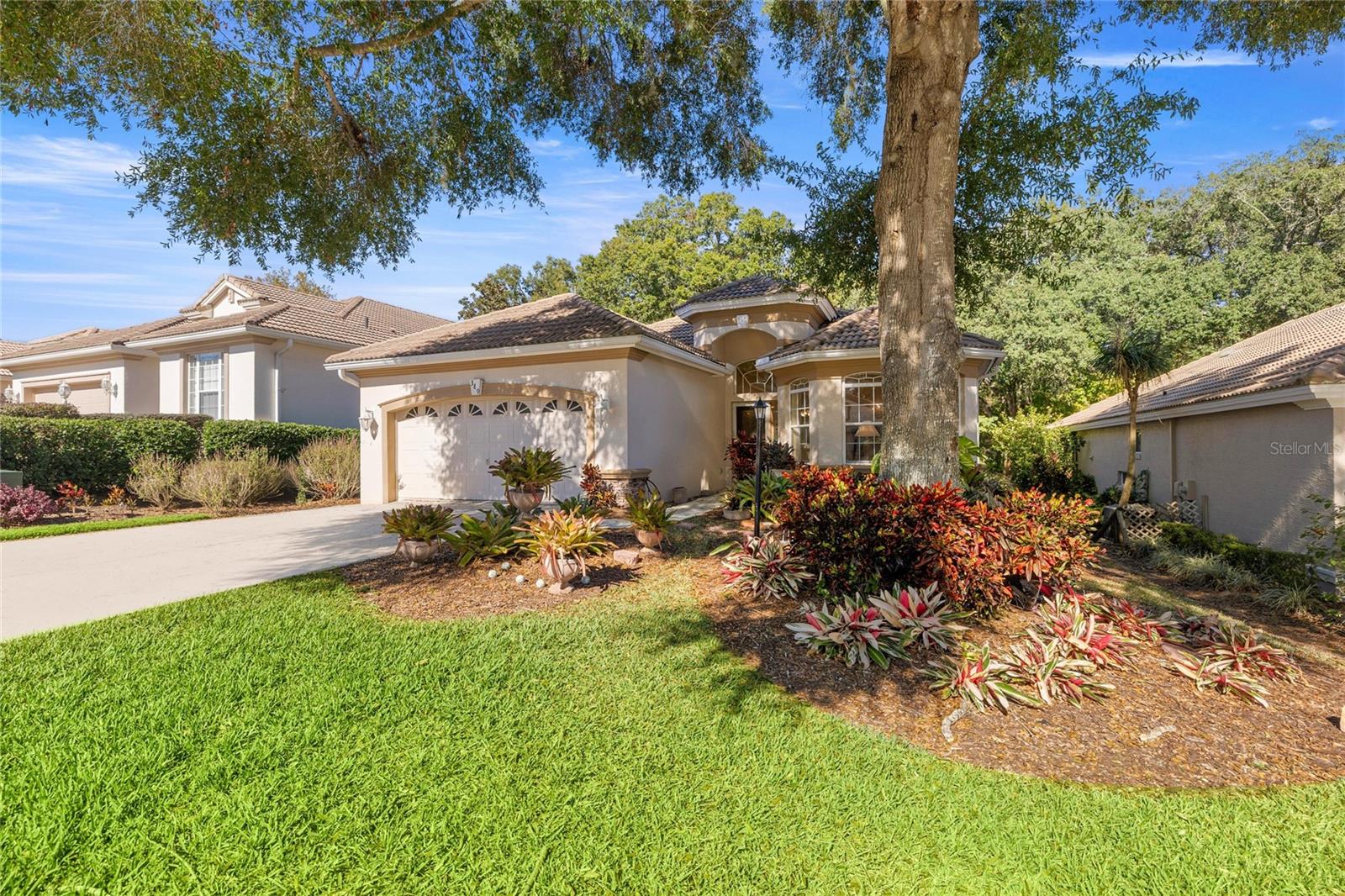CITRUS HILLS - TERRA VISTA - Residential
