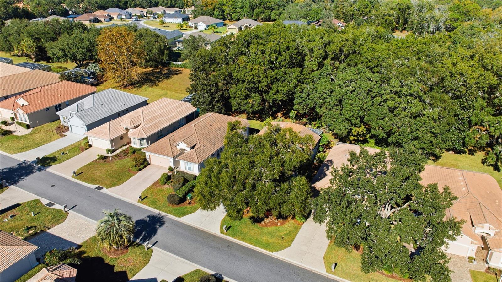 CITRUS HILLS - TERRA VISTA - Residential