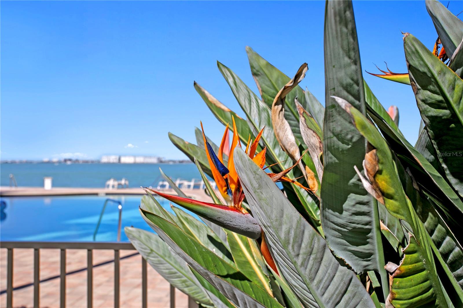 BACOPA BAY CONDO - Residential