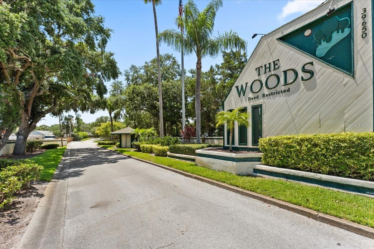 WOODS AT ANDERSON PARK - Residential