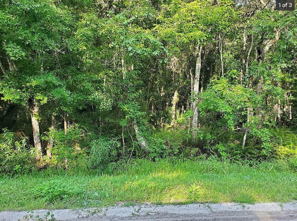 DAYTONA NORTH - Land