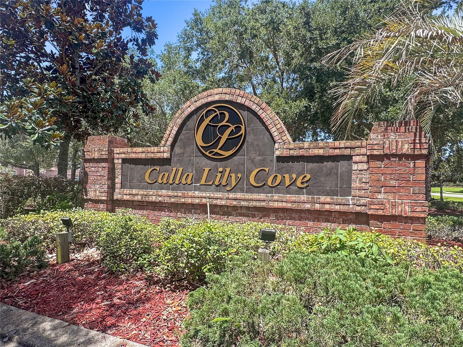 CALLA LILY COVE AT CRESCENT LAKE - Residential