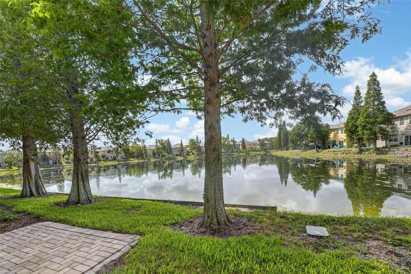 EAGLE PALM PH II - Residential