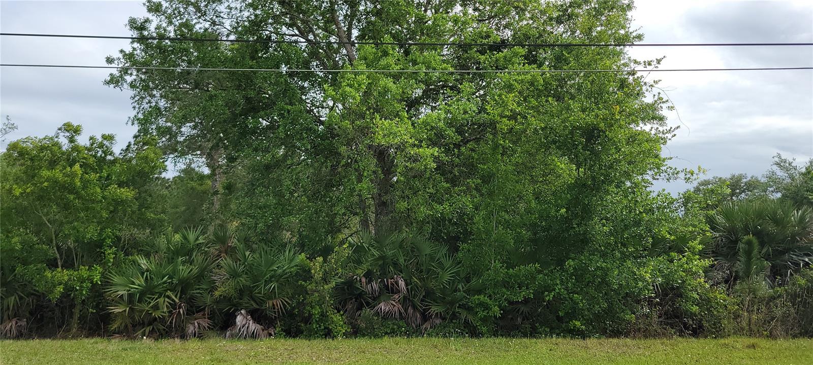 Unlock the potential of this  2.88-acre property located on Ralston St in Wedgefield with paved roads and electricity available on site. This unique parcel offers a great opportunity for builders, investors, or end-users looking to develop in a growing area while enjoying natural surroundings. No wetland mitigation required, according to the recent land cover report, the property is predominantly Pine Flatwoods (approx. 2.63 acres), providing a strong amount of usable upland area. Only a smaller portion consists of wet prairie and drainage features, allowing for thoughtful site planning while still maintaining plenty of buildable space. The property features a natural Florida landscape and privacy, with nearby residential development continuing to expand throughout the area. Conveniently located near major roadways, you’ll have access to Orlando’s employment hubs, shopping, dining, and entertainment, while still enjoying a more rural, spacious setting. Whether you’re looking to build a custom home, develop, or invest in land with long-term upside, this property offers a rare combination of size, location, and usable acreage in the Orlando area.