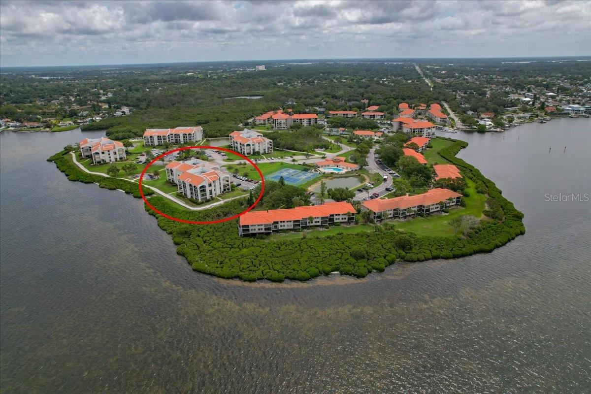 Tarpon Springs, FL – Resort-Style Ground-Floor 1 Bed / 2 Bath Condo (MLS Ready)

Mariner Village is hghly sought after for its resort-style living and direct access to local boating facilities, situated adjacent to Loggerhead Marina and close to local spots like Port Tarpon Marina
Prime setting & layout**: Ground-floor, open-floor plan in a quiet, gated Gulf-front community with private porch hedges for reading or entertaining.
Amazing water views**: Beautiful waterviews in the rear overlooking the Gulf and mangrove trails; sunset skies from the rear and direct access to waterfront walkways.
Waterfront access & amenities**: Direct Gulf access with mangrove trails behind the building; heated pool, clubhouse, and expansive outdoor recreation.
Facility highlights**: 24-hour guard gate for security; fully updated weight/fitness room and on-site spa; kayak racks/launch; tennis/pickleball courts; BBQ grills.
Utilities & services**: On-site cable TV, internet, trash and water included.
Location & accessibility**: Minutes to Sunset Beach, Howard Park, Pinellas Trail, Innisbrook Resort; minutes drive from the famous Tarpon Springs Sponge Docks and bustling Downtown Tarpon Springs; 30~45 minutes to airports.
Turnkey option**: Fully furnished 1,000 SF unit available for immediate coastal living.