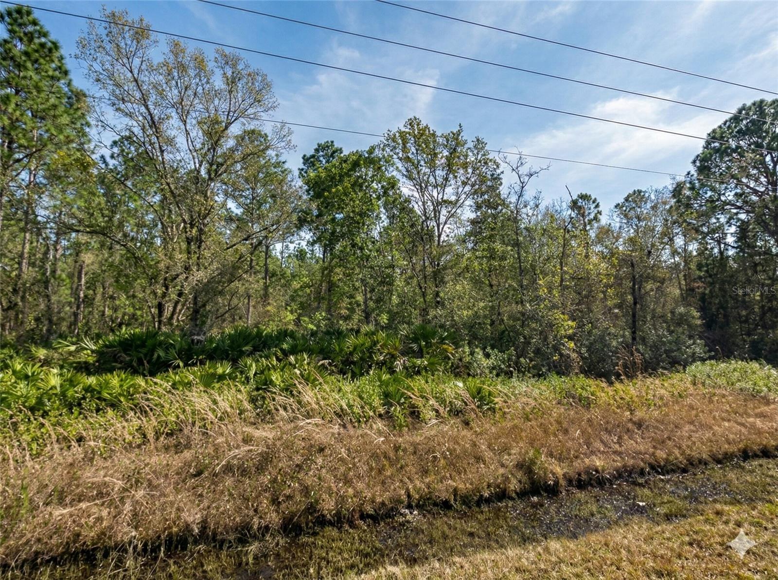 Adventure awaits on this prime 1.14-acre vacant lot located in the rapidly growing Flagler Estates area of Hastings, FL! This expansive parcel is a dream setup for outdoor enthusiasts seeking space to spread out and enjoy Florida's natural playground. With no HOA, no CDD fees, and no deed restrictions, you have the freedom to create your ideal basecamp -- whether that's a site-built, modular, or mobile-manufactured home.  Bring your ATVs, RVs, side-by-sides, dirt bikes, trucks, and outdoor toys -- there's plenty of room for storage, additional structures, workshops, or gear. The surrounding area is known for its rural charm and outdoor lifestyle, offering easy access to miles of trails, mudding spots, and wide-open terrain perfect for four-wheeling and exploring. Located near Deep Creek and the St. Johns River, this property also provides convenient opportunities for kayaking, fishing, and waterfront adventures. Enjoy the best of both worlds with peaceful, recreational living while still being within reach of St. Augustine, Jacksonville, and the beautiful Northeast Florida beaches.
Whether you're looking to build your outdoor retreat, weekend getaway, or long-term investment, this property is ready for your vision. Secure your slice of Florida Heaven today!