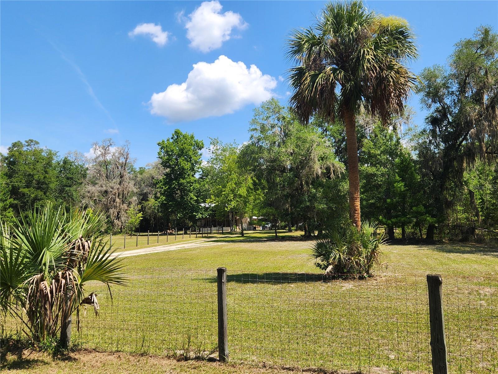 TOWN OF ORANGE SPRINGS - Residential