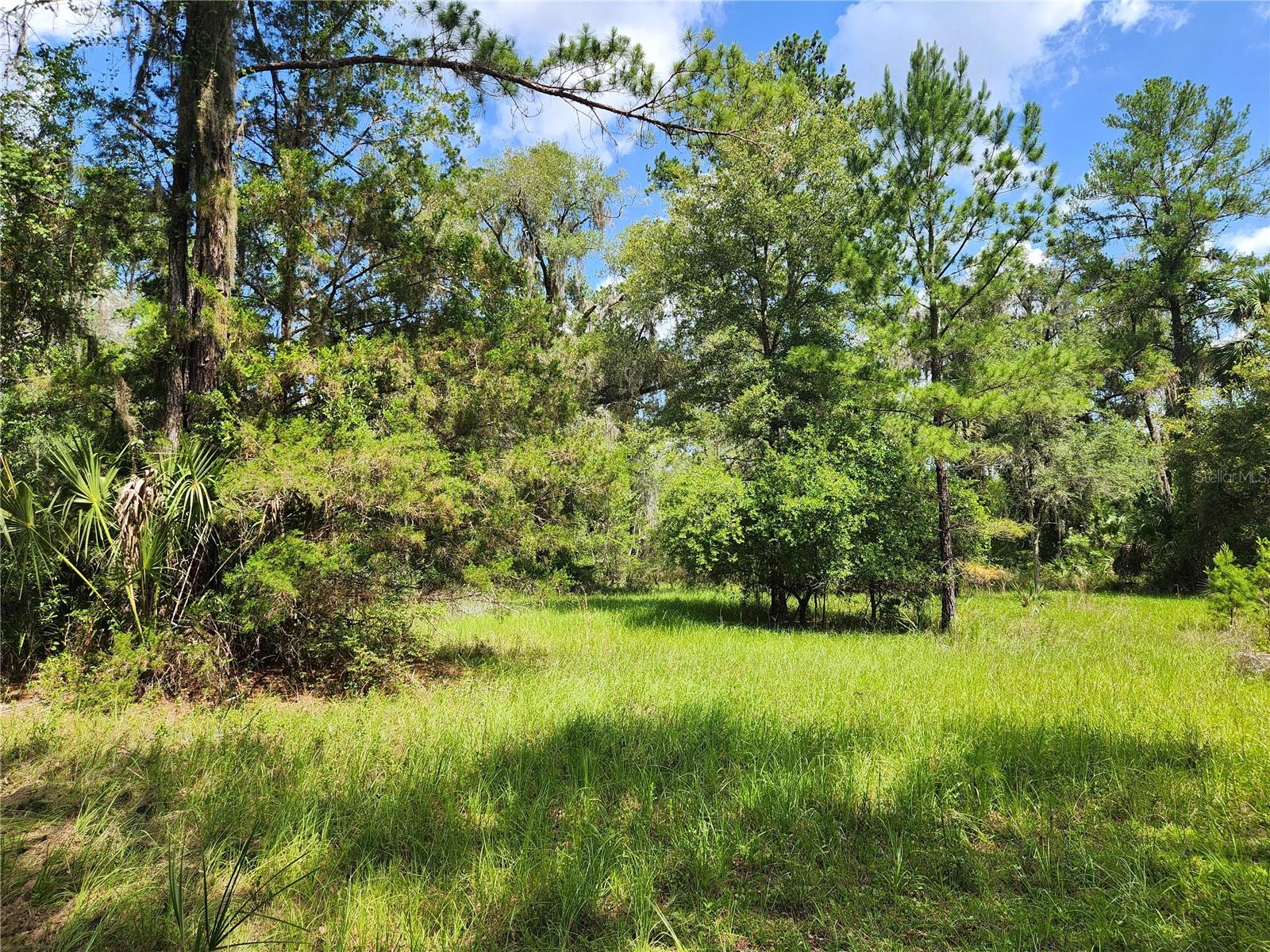 TOWN OF ORANGE SPRINGS - Residential