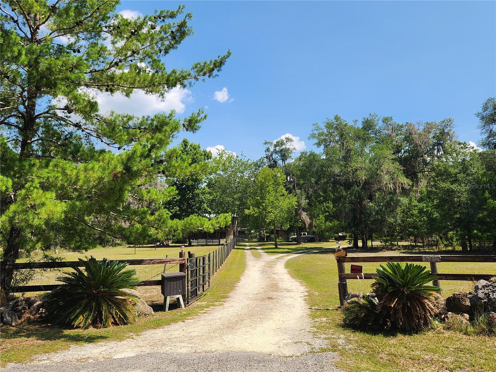 TOWN OF ORANGE SPRINGS - Residential