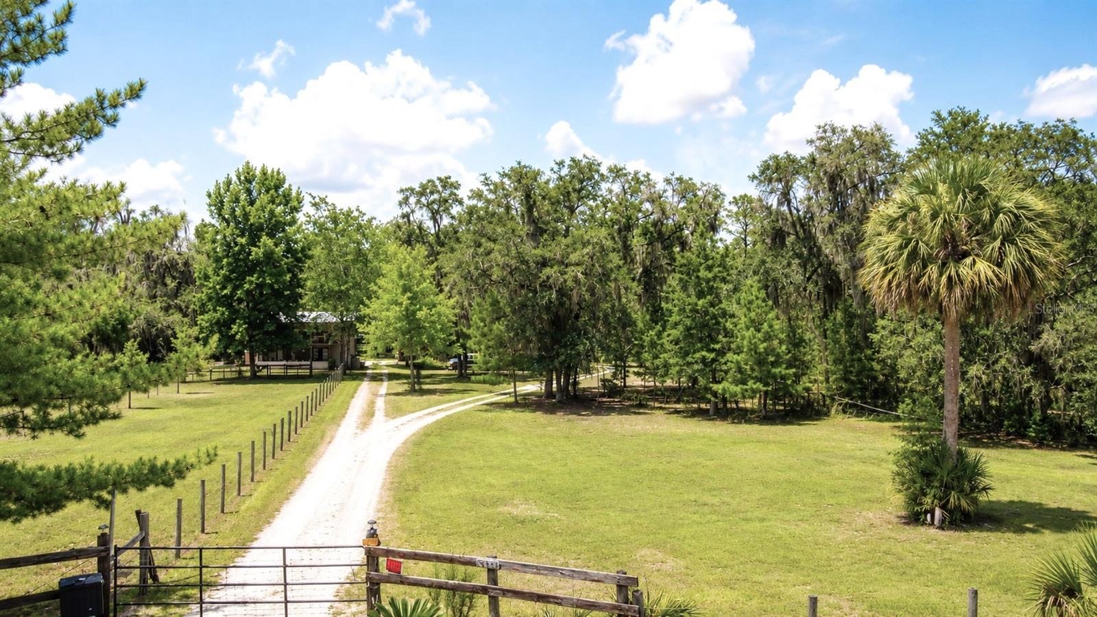 TOWN OF ORANGE SPRINGS - Residential