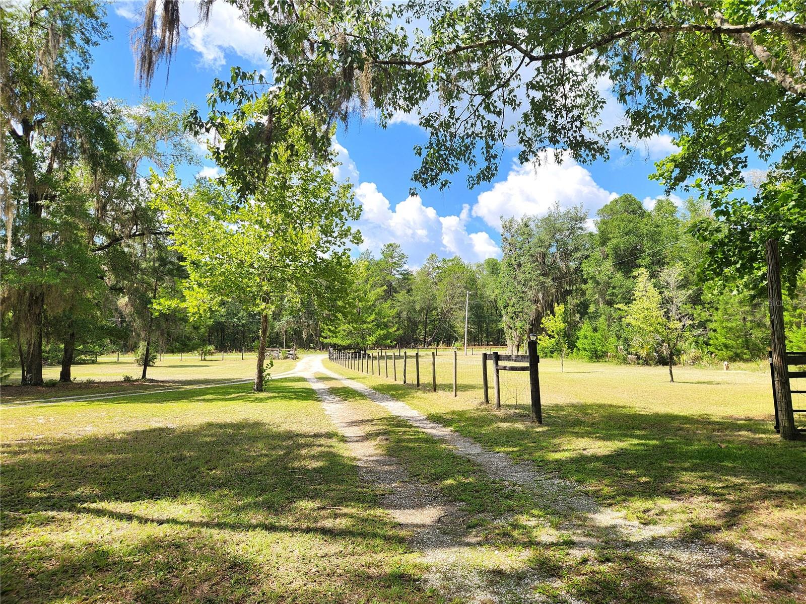 TOWN OF ORANGE SPRINGS - Residential
