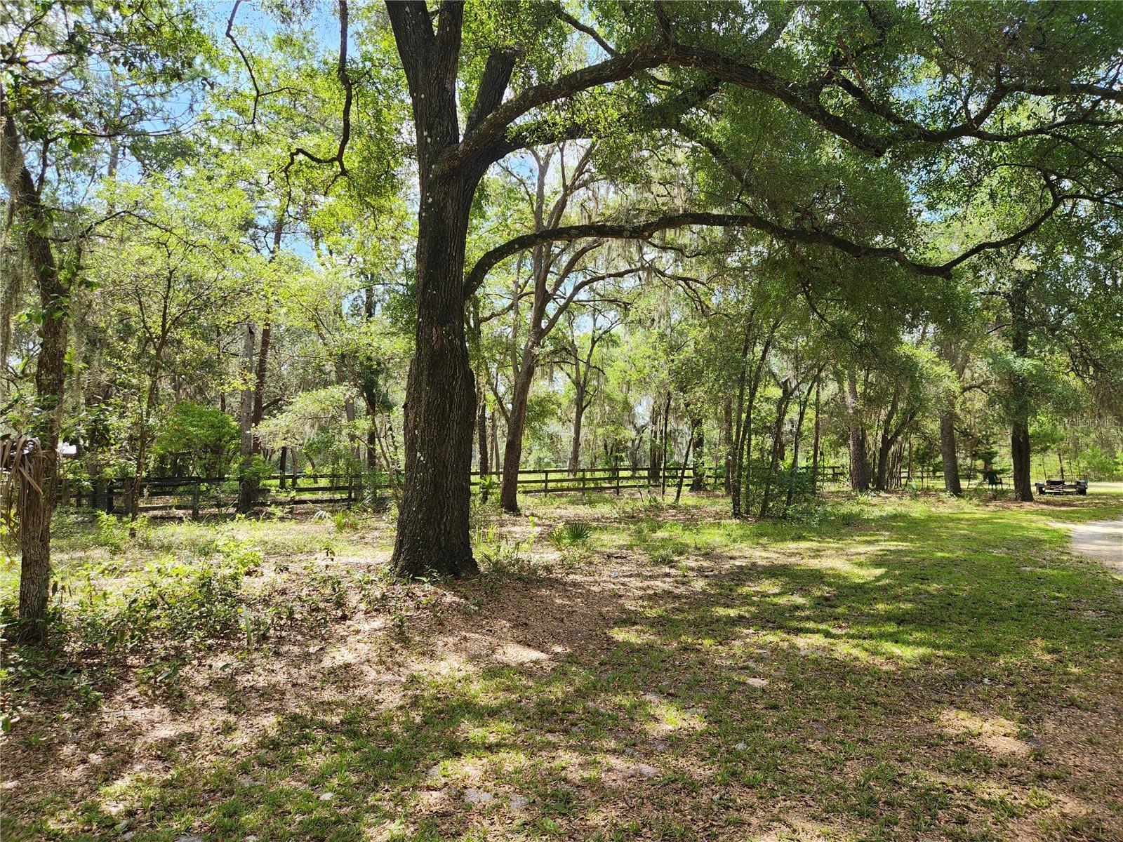 TOWN OF ORANGE SPRINGS - Residential