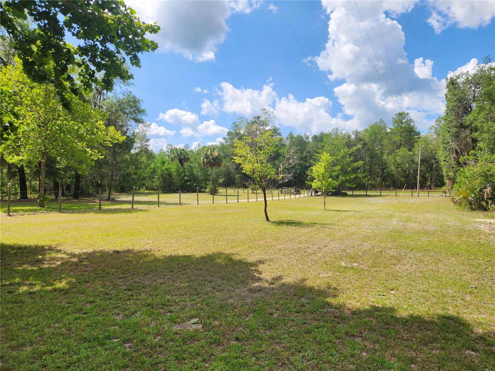 TOWN OF ORANGE SPRINGS - Residential