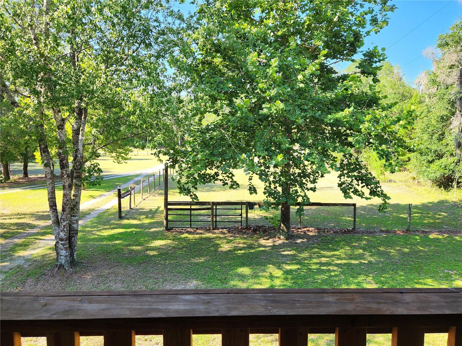 TOWN OF ORANGE SPRINGS - Residential