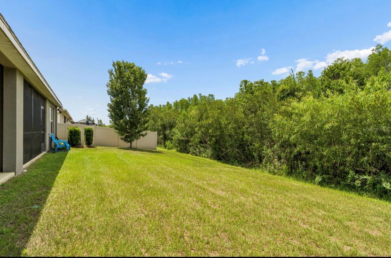 CYPRESS PRESERVE PH 2B 1 & 2B - Residential