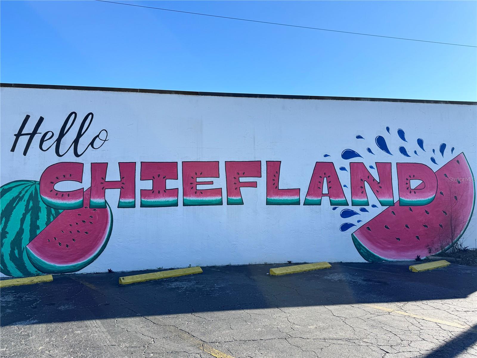 CHIEFLAND - Commercial Sale
