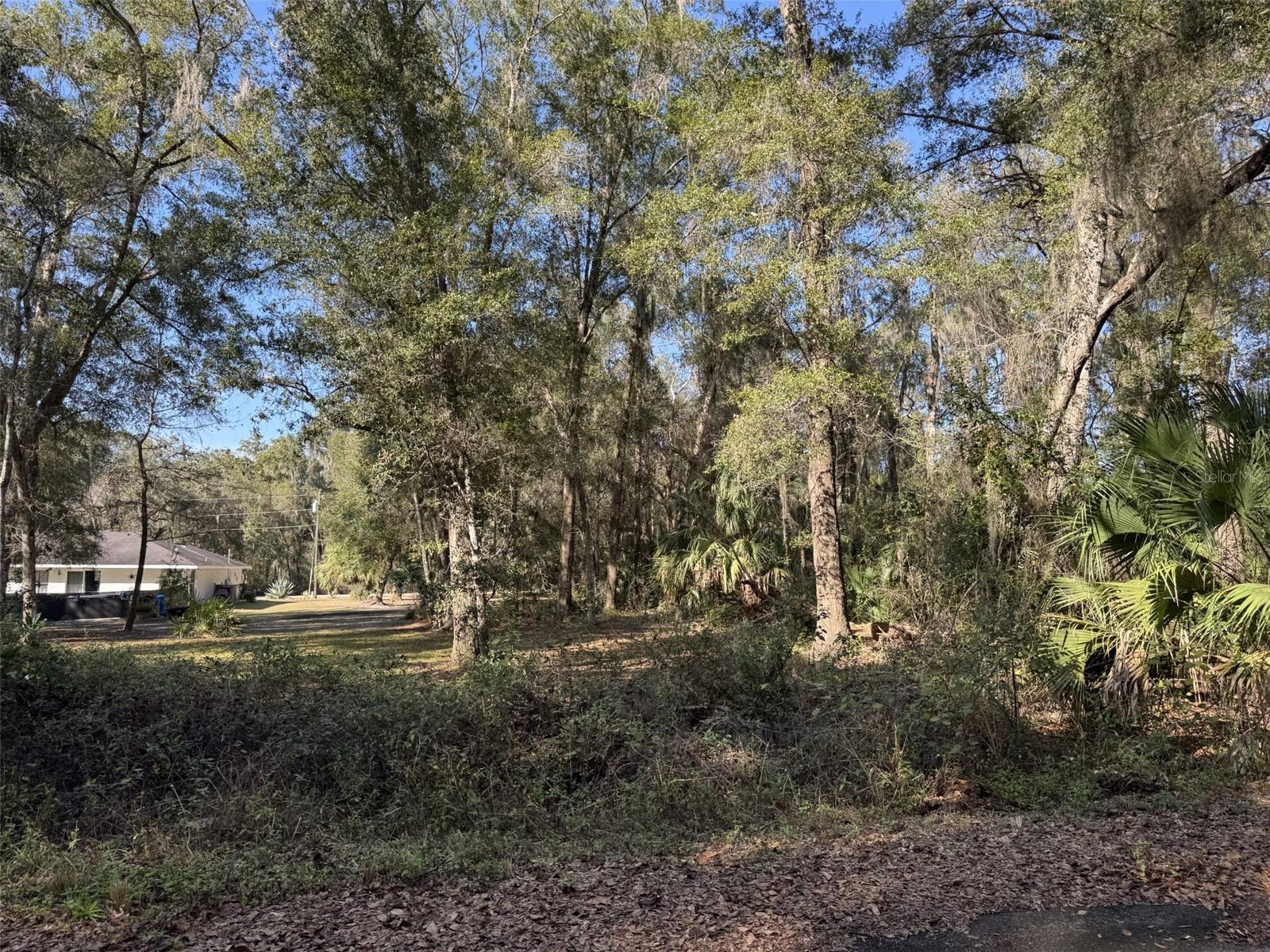 SILVER SPRINGS SHORES EAST - Land
