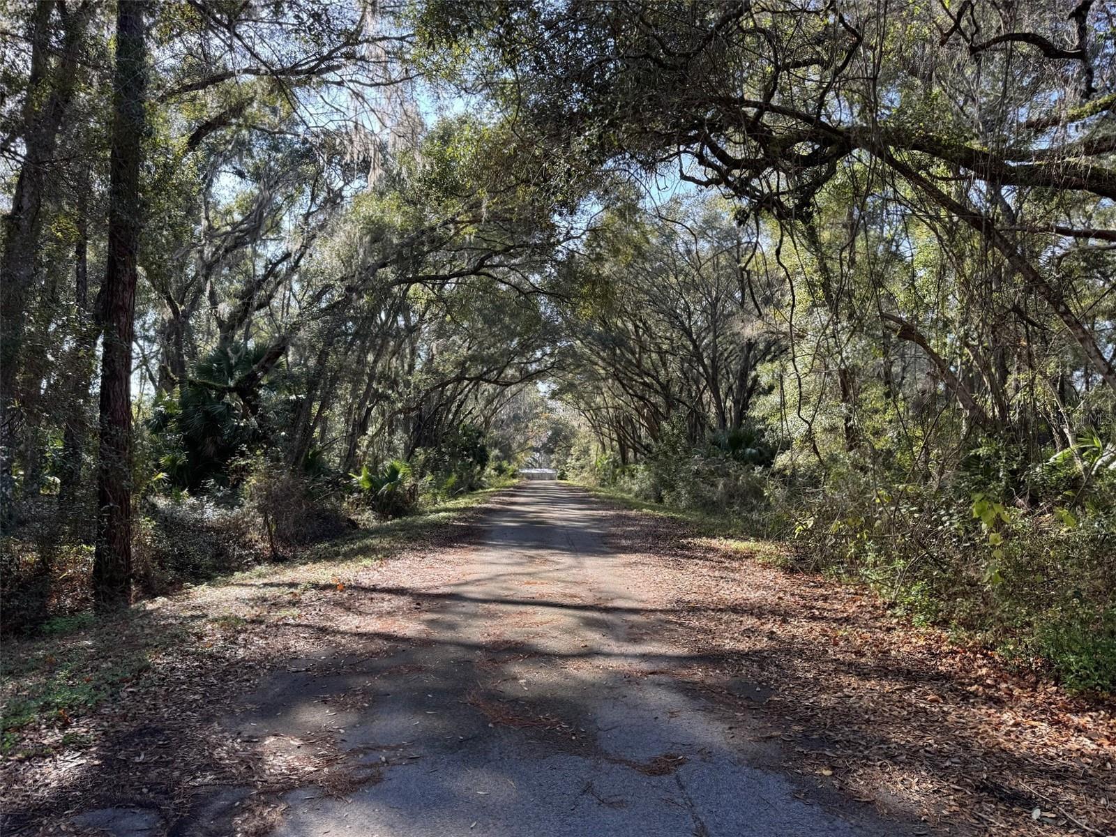 SILVER SPRINGS SHORES EAST - Land