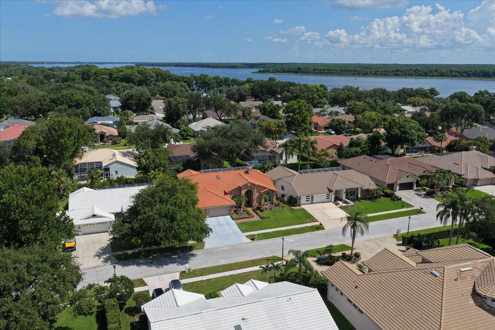 RESERVE AT LAKE TARPON THE - Residential