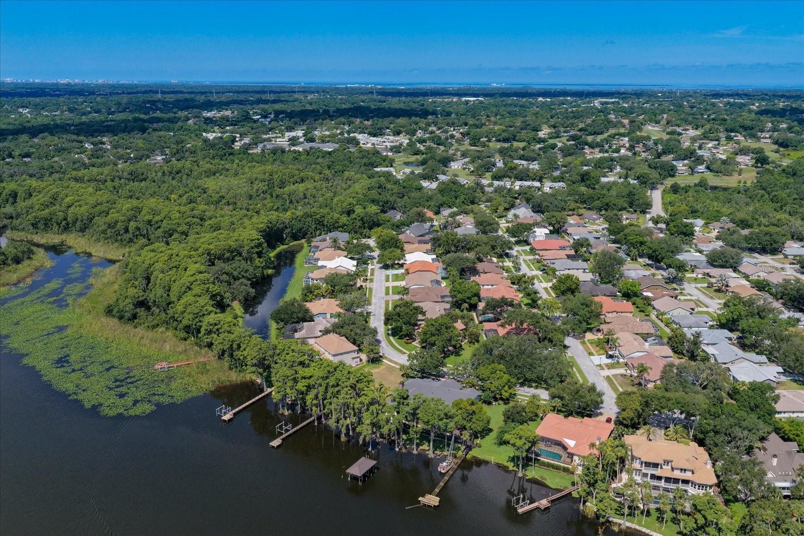 RESERVE AT LAKE TARPON THE - Residential