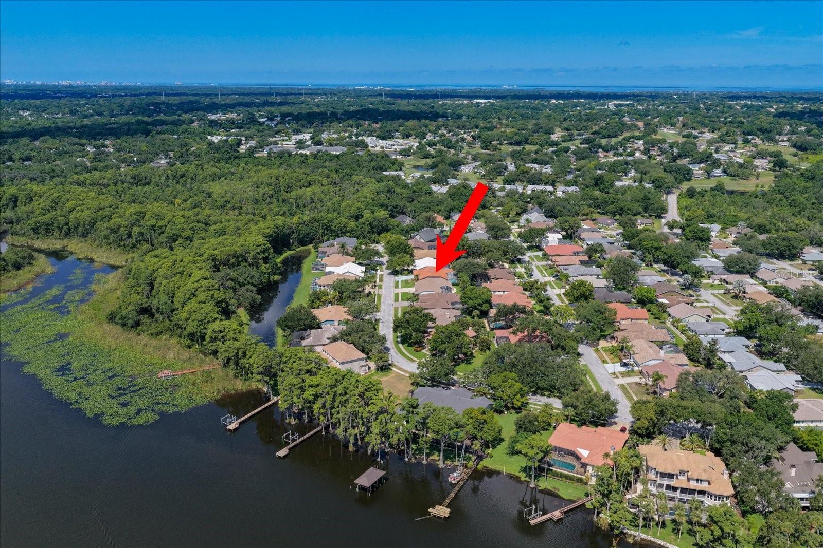 RESERVE AT LAKE TARPON THE - Residential