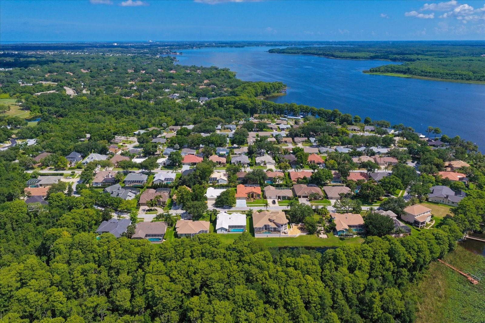 RESERVE AT LAKE TARPON THE - Residential