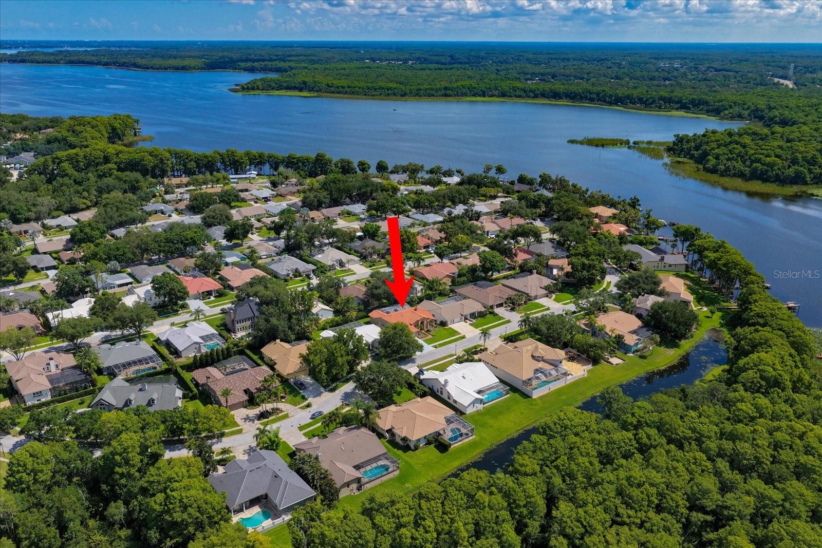 RESERVE AT LAKE TARPON THE - Residential