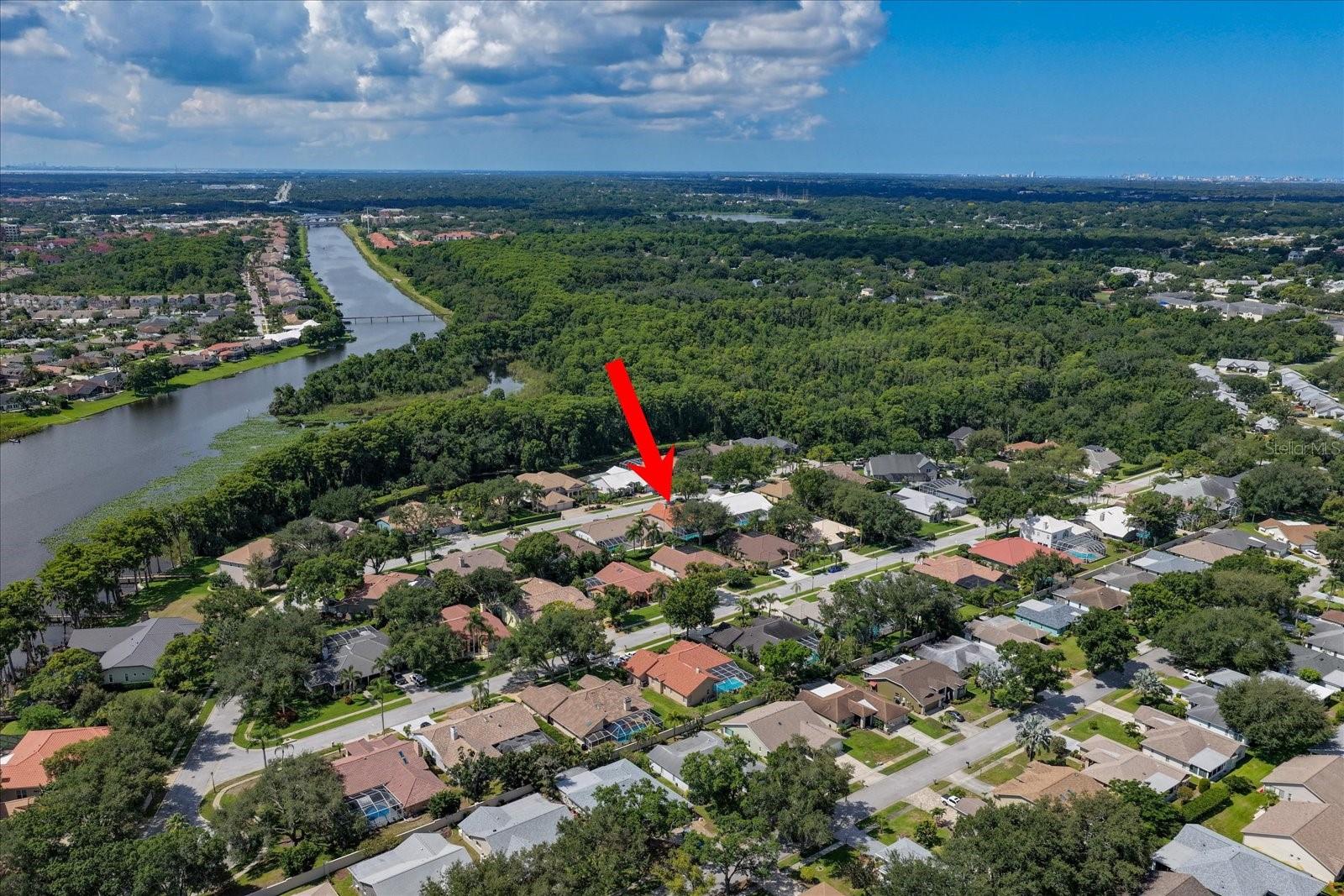 RESERVE AT LAKE TARPON THE - Residential