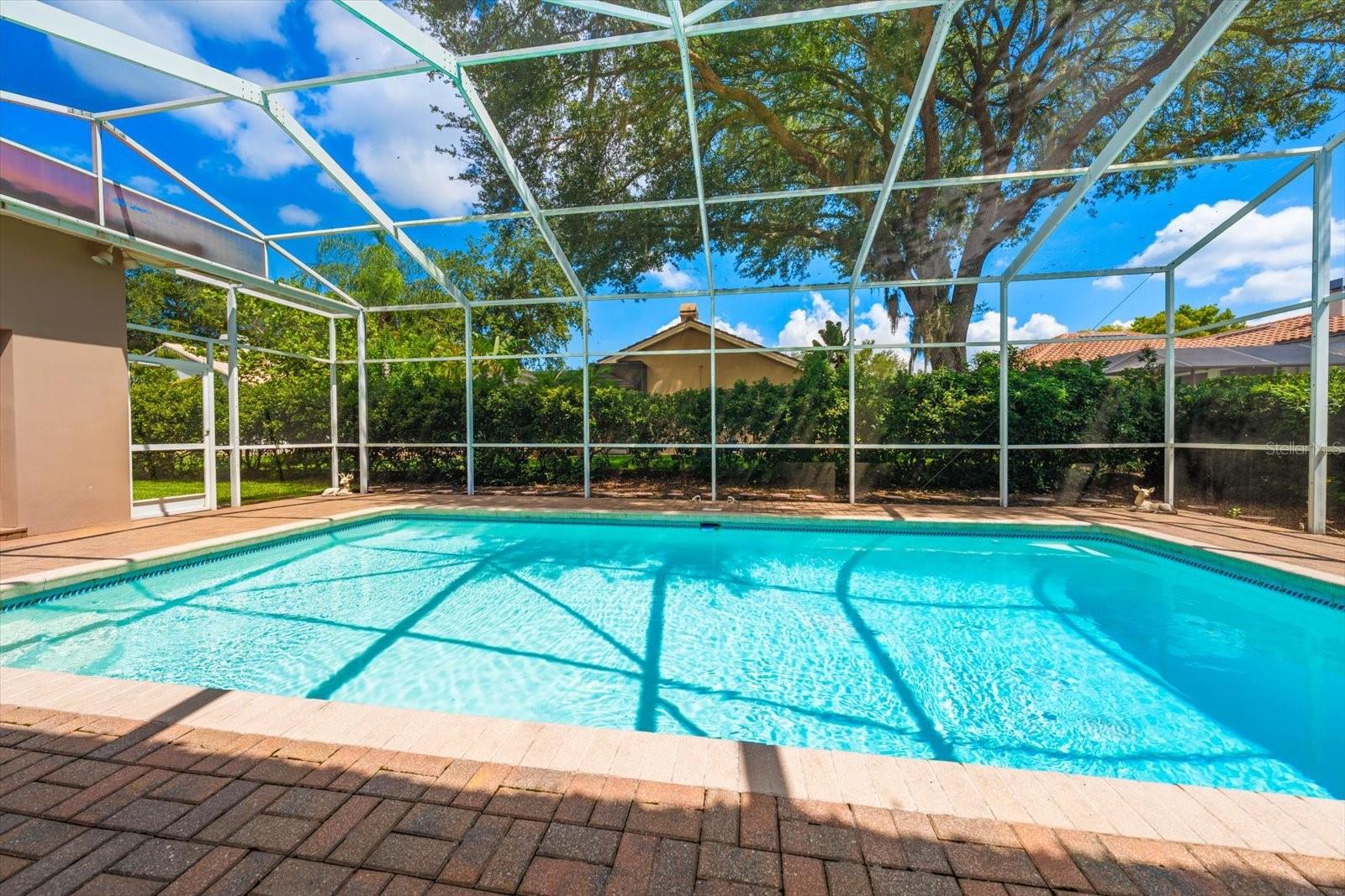 RESERVE AT LAKE TARPON THE - Residential