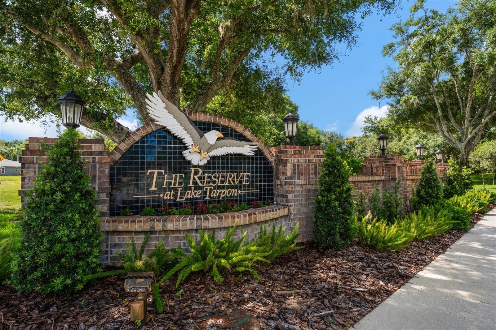 RESERVE AT LAKE TARPON THE - Residential