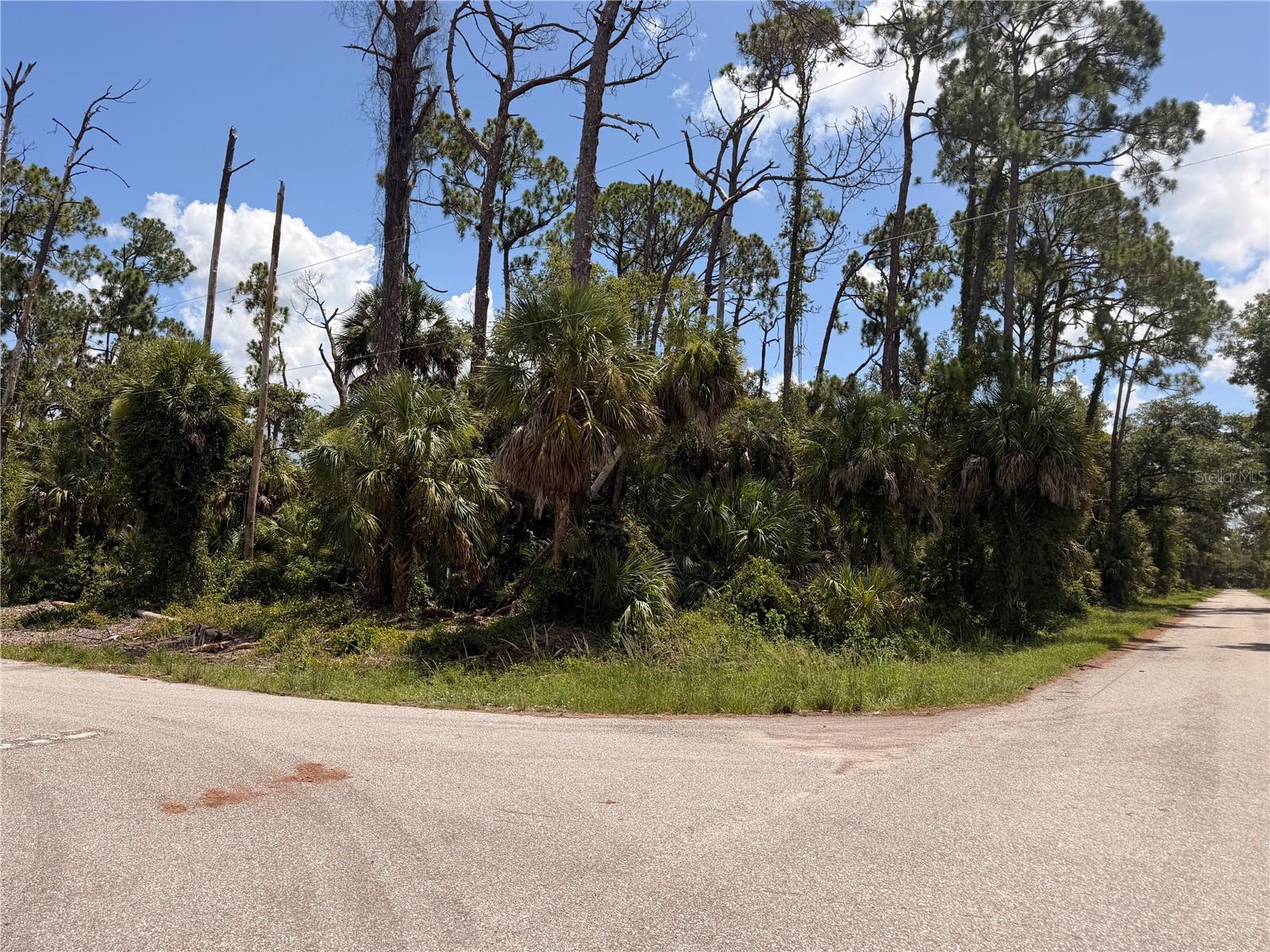 NO BLUE SCRUB JAY on this beautiful corner lot in an upcoming new construction area.   Great area of Port Charlotte, near shopping, restaurants, Sun Seekers Resort just a few miles away, downtown Punta Gorda less than 10 mins away!  No flood zone.