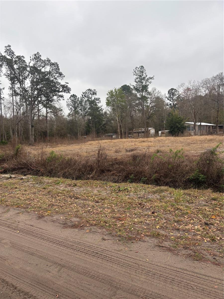 FLAGLER ESTATES - Land