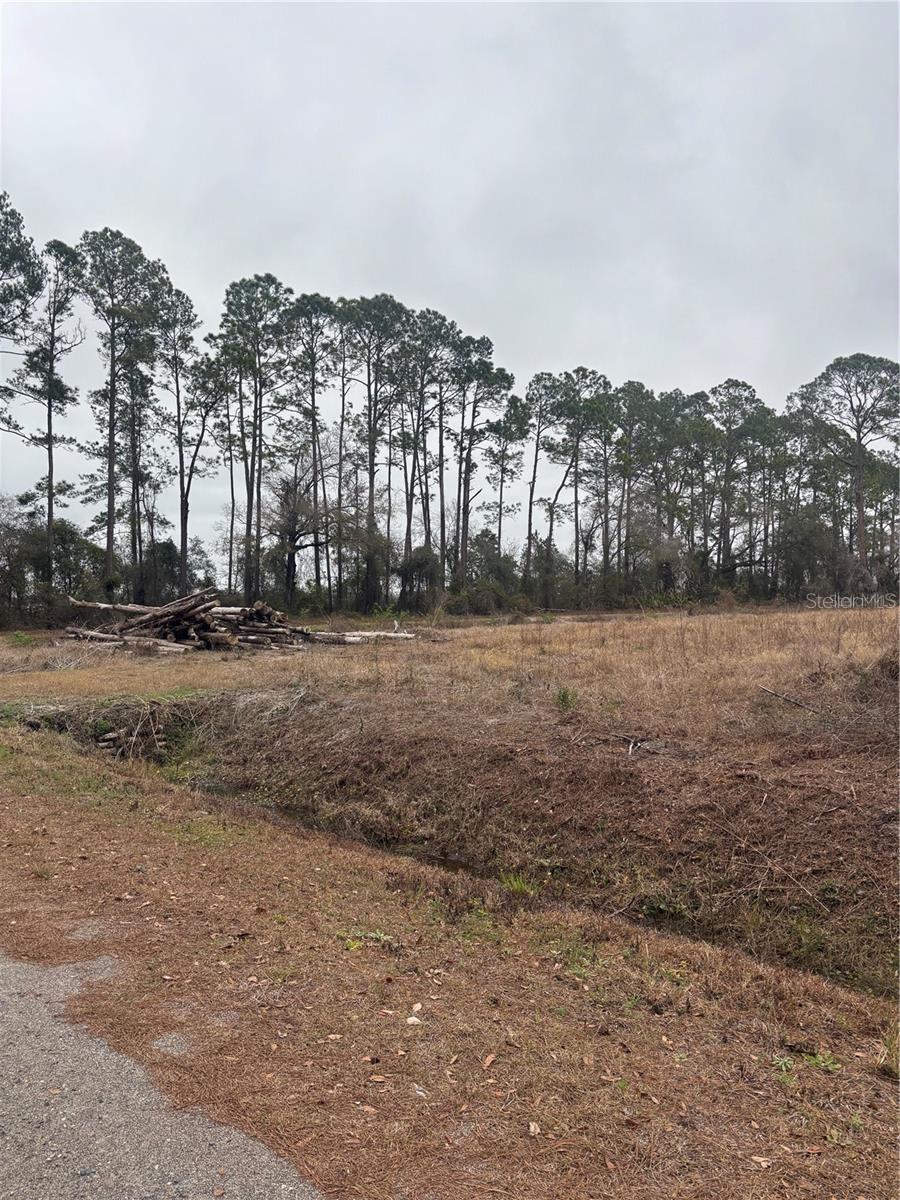 Great opportunity to own a large piece of land. Owner has an approved permit to build on the property, which is on file with the City of St Johns. Listing agent can provide a copy.