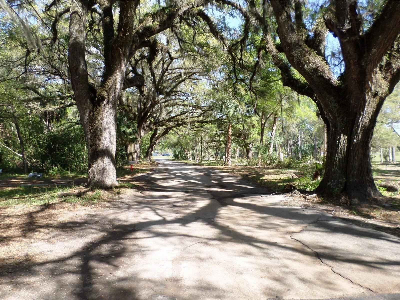 DUNNELLON - Commercial Sale
