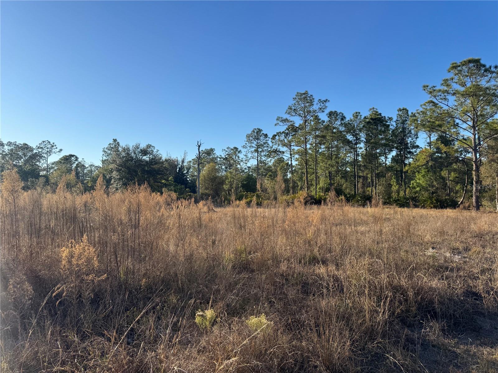 LEHIGH ACRES - Land