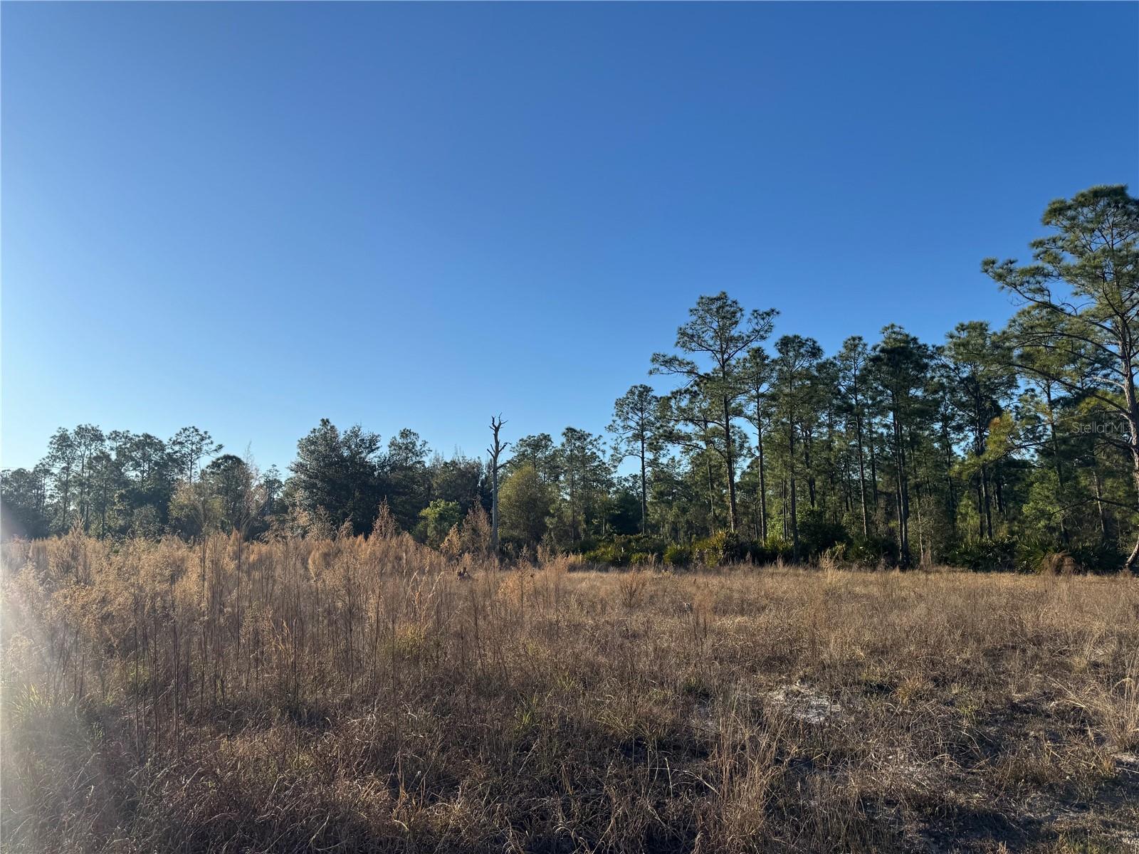 LEHIGH ACRES - Land