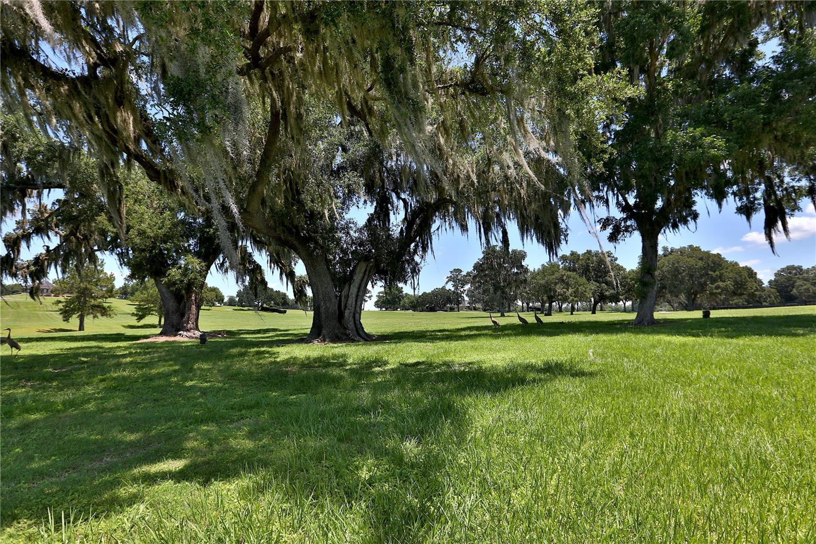 ACREAGE NON SUBDIVISION - Residential
